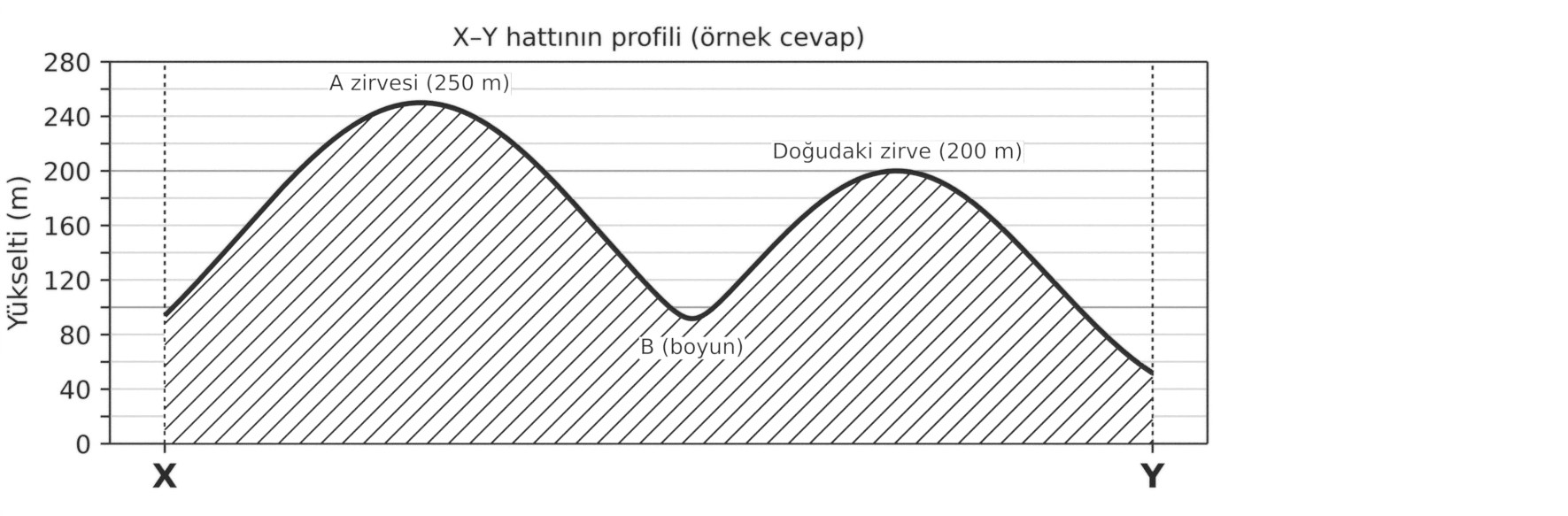 Örnek cevap: X–Y hattının profili