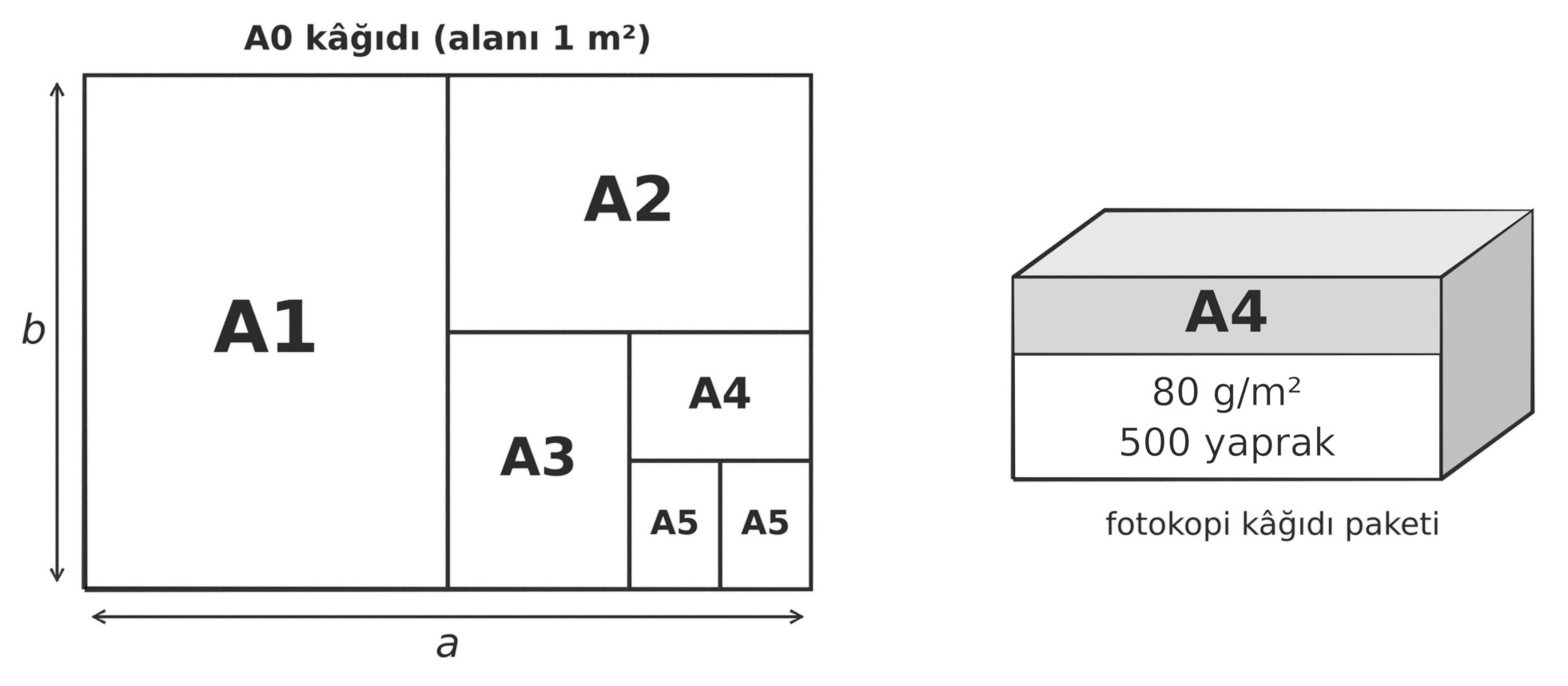 A0 kâğıdının A1, A2, A3, A4 ve iki A5 kâğıdına bölünmesi (A0 kâğıdının uzun kenarı a, kısa kenarı b) ve 80 g/m² gramajlı, 500 yapraklık A4 fotokopi kâğıdı paketi